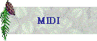 MIDI