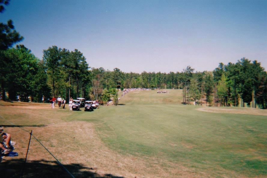 Golfers... golfing