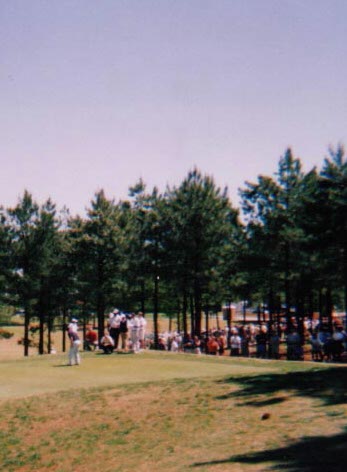 Golfers... golfing on the green