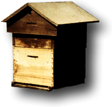 Beehome.gif (20793 bytes)