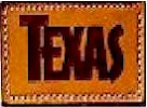 texas1.jpg (7615 bytes)