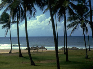 The beach I see from my room window