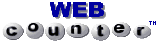 web counter icon