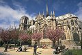 Notre_Dame.jpg (4937 bytes)