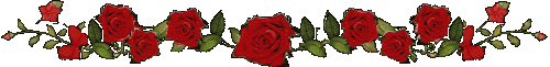 red roses line