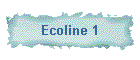 Ecoline 1