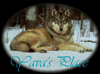 Yava's Wolf