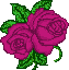 hum_rose.gif (3118 bytes)