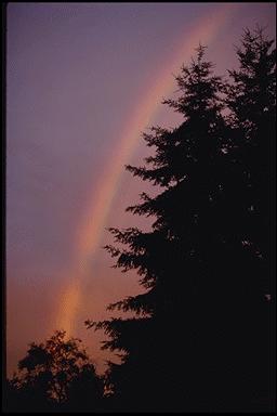 rainbow picture