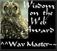 Wisdom on the Web Award, 5/20/98