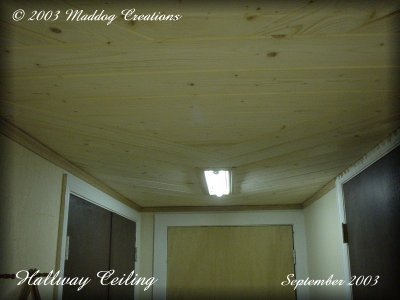 Lithuanian Pine Ceiling (September 2003)