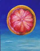 Grapefruit