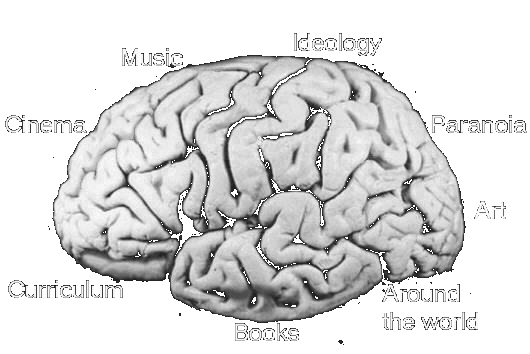 Poal's Brain map