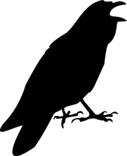 crow