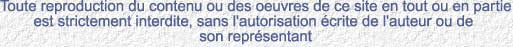 Toute reproduction du contenu ou des oeuvres de ce site en tout ou en partie est strictement interdite, sans l'autorisation écrite de l'auteur ou de son représentant