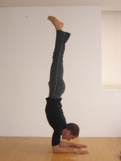 Pincha Mayurasana