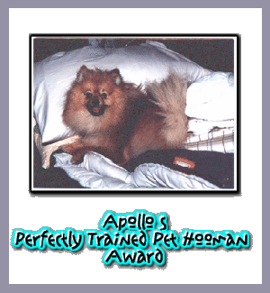 Apollo's Perfectly Trained Pet Hooman Award