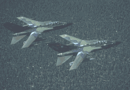 A couple of Tornado ADV flying in formation