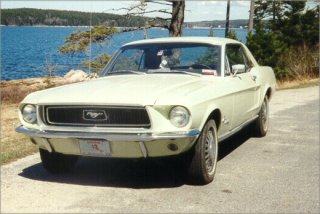 My Pony in Acadia National Park