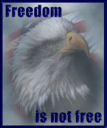 Freedom is Not Free