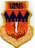 317th Patch