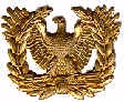 Warrant Officer Insignia