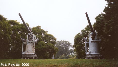 memorial guns