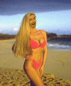 baywatch.gif (100095 bytes)