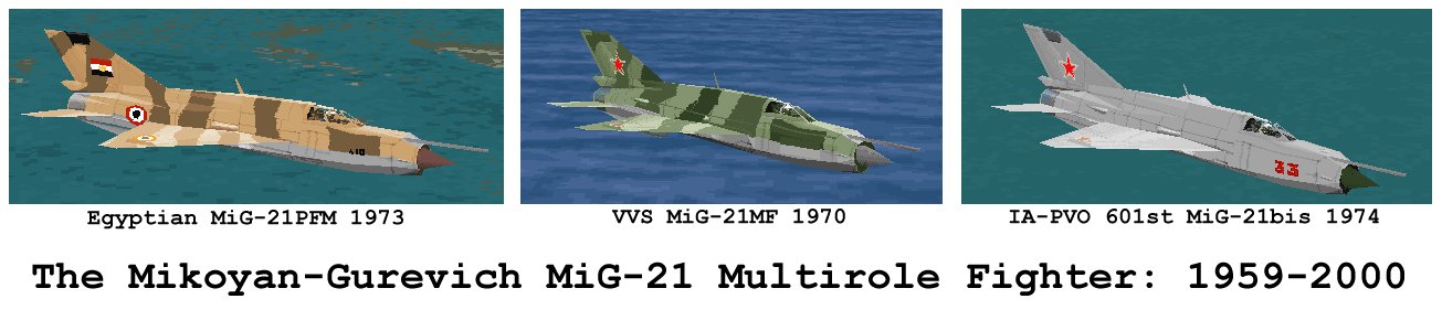 /user/MiG-21s.jpg