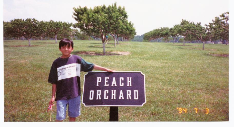 peach_orchard