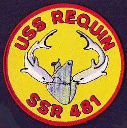 Radar Picket insignia