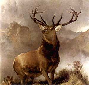 Link to Benevolent and Protective Order of Elks