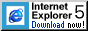 MS Internet Explorer