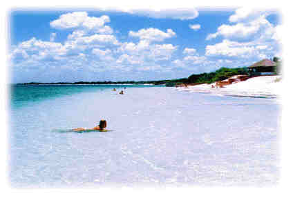 Uma das Lagoas de Jericoacoara