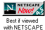 Best Viewed With NETSCAPE