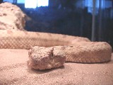 Mr. Hunter, Persian Horned Viper