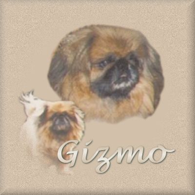 Gizmo