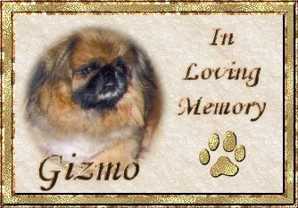 Gizmo