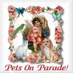 Parade of Pets