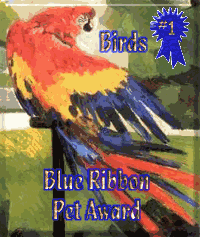 Blue Ribbon Pet award