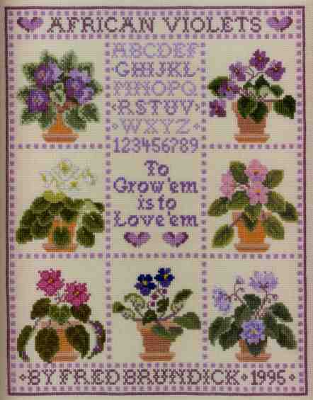 African Violet Sampler