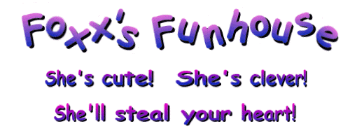 Foxx's Funhouse