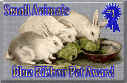 Petsburgh Posts Small Animal Blue Ribbon Award