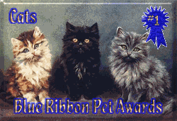 BlueRibbonCatAward