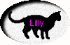 Lilly's Page