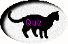 Cattitude Quiz