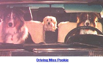 Driving Miss Pookie