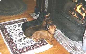 Abby, Cody, and Heidi at the fireplace