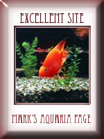 Mark's Aquaria Page:Execellent Site Award