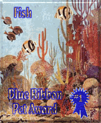 Blue Ribbon Pet Award: Fish